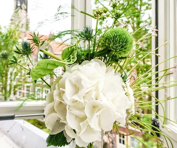 Deluxe 20m2 Canal View *