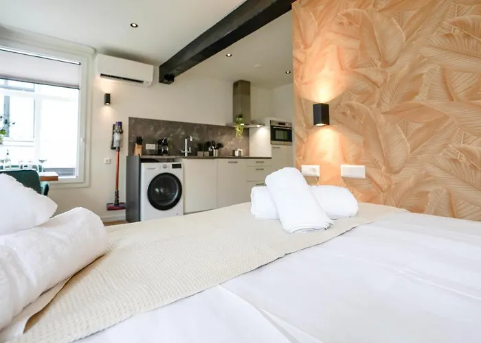 Deluxe 20m2 Canal View Vakantiehuis Delft